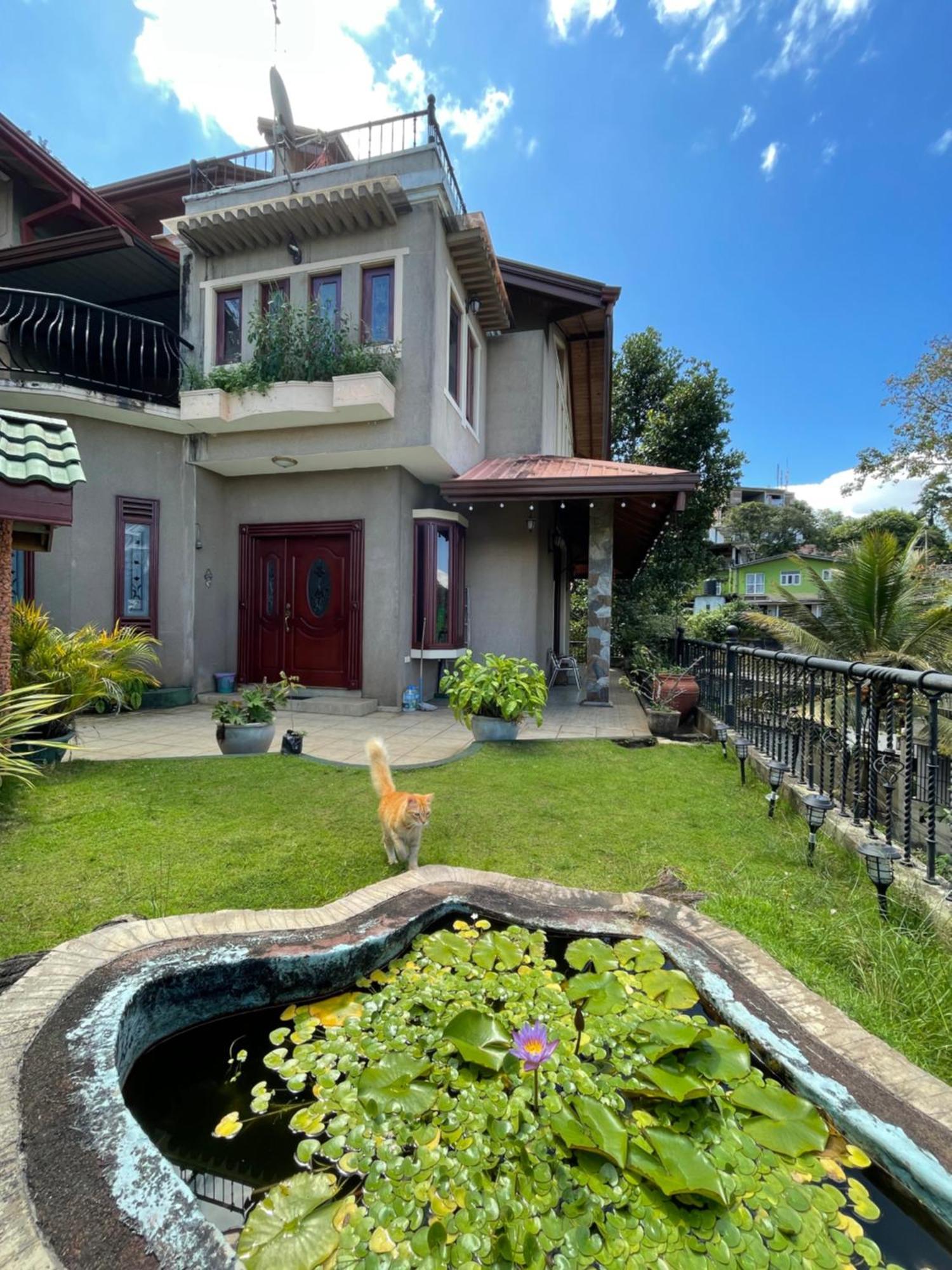 中国蒲公英民宿dandelion Guest House Villa With Mount View Kandy Kültér fotó