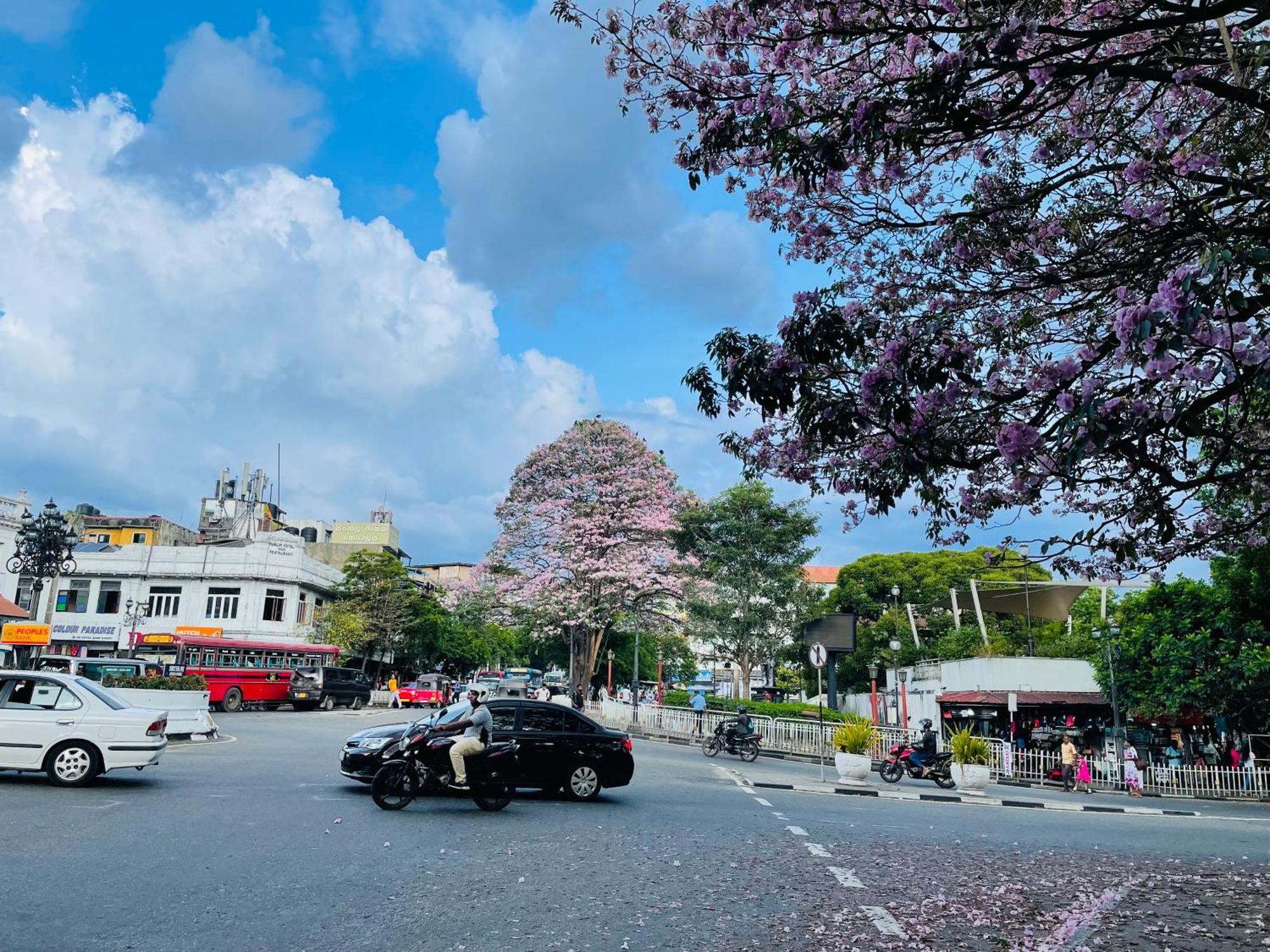 中国蒲公英民宿dandelion Guest House Villa With Mount View Kandy Kültér fotó